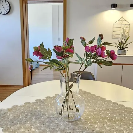 Apart4you Ostoja Centrum * Zakopane