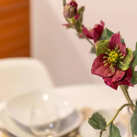 Апартаменты Apart4you Ostoja Centrum